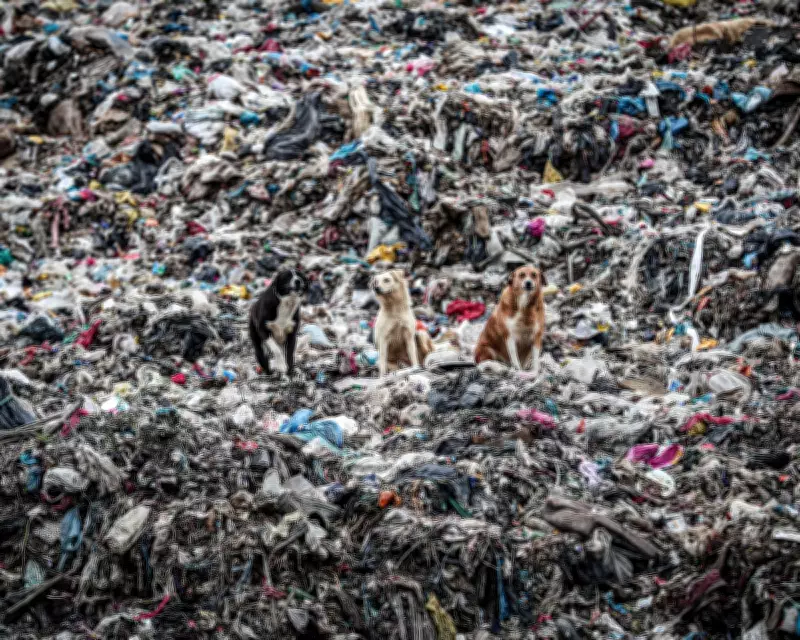 Germany Top Plastic Waste Exporter in 2025; UK, Turkey, Malaysia Hit Hard