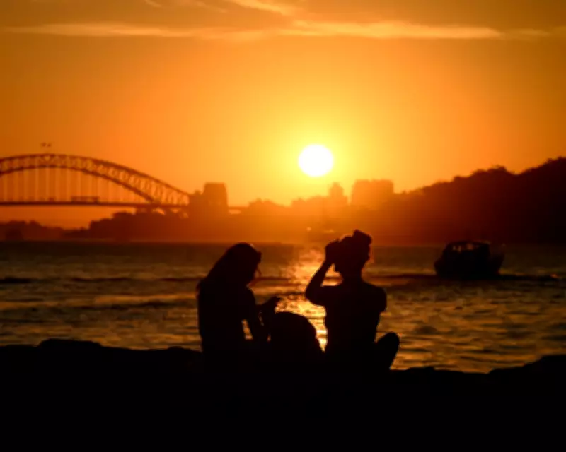 Global Snapshot: From Missing Wolf to Sydney Sunset in Daily Photo Selection