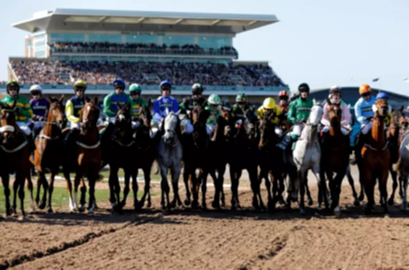 Grand National 2026: Comprehensive Horse-by-Horse Guide to All 34 Runners