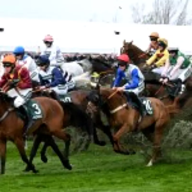 Grand National 2026: I Am Maximus Leads Favorites as Field of 34 Confirmed