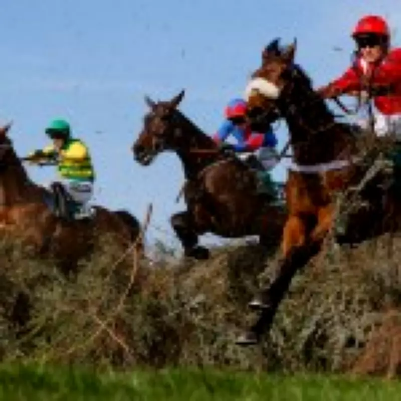 Grand National 2026 Sweepstake Kit: Free Printable Download for Race Day Fun