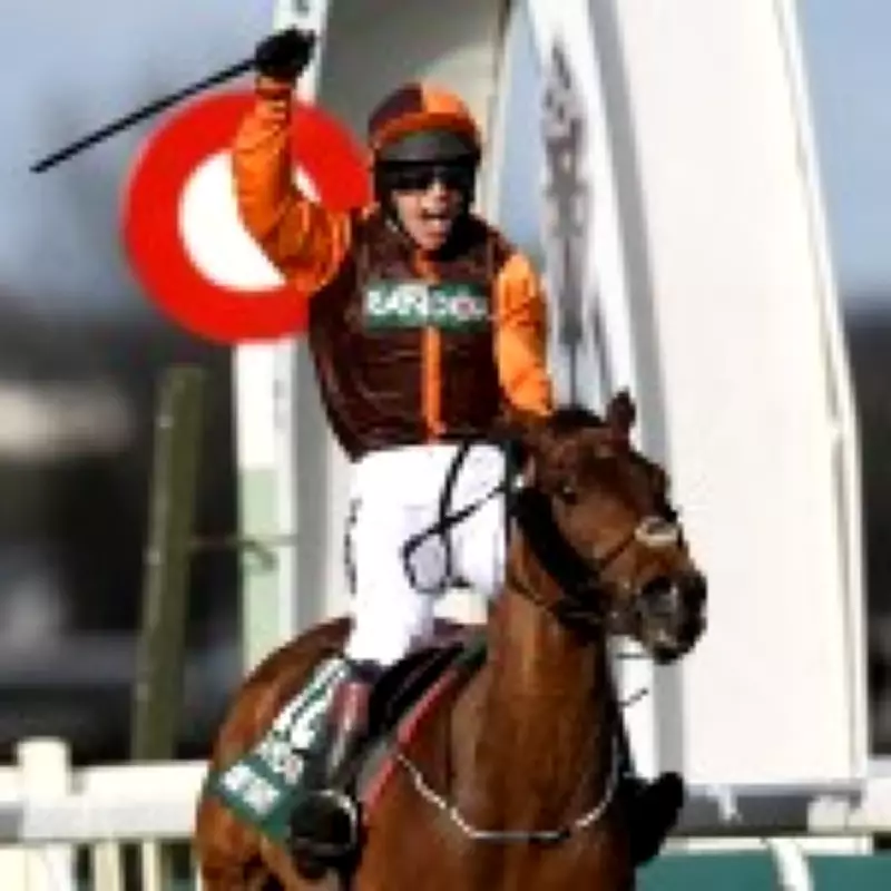 Grand National Champion Noble Yeats Dies After Colic Battle
