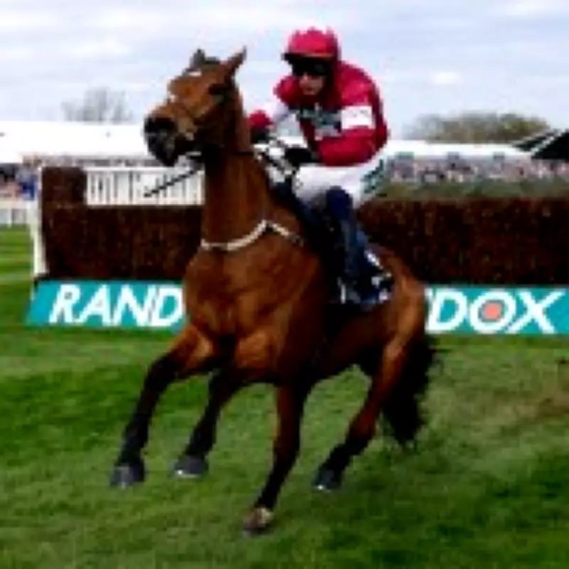 Grand National Horse Euthanized After Winning Race with Broken Back