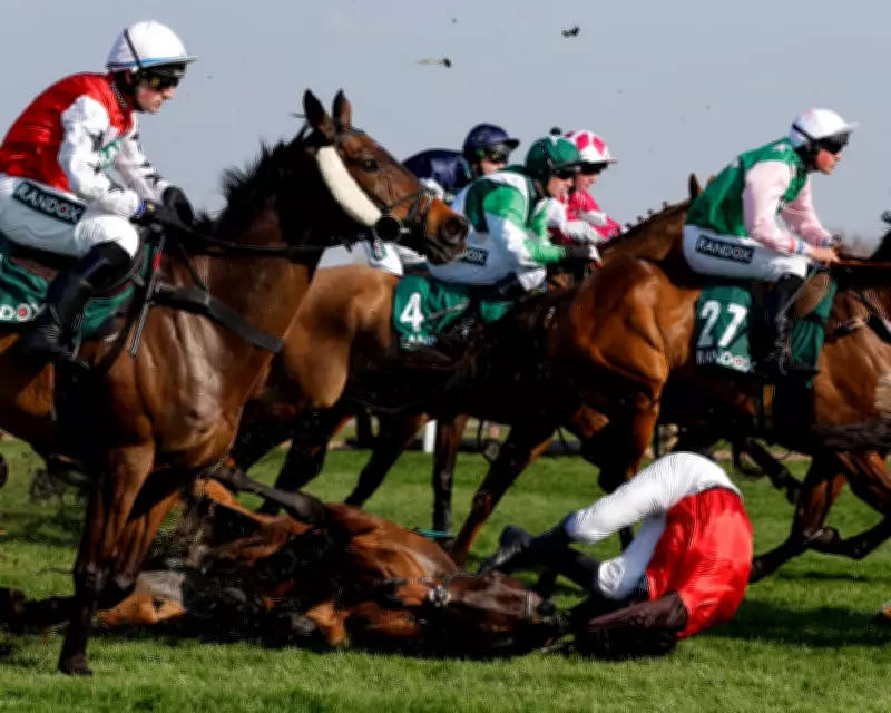 Grand National Horse Welfare Debate Intensifies Amid Racing's Unrivalled Status