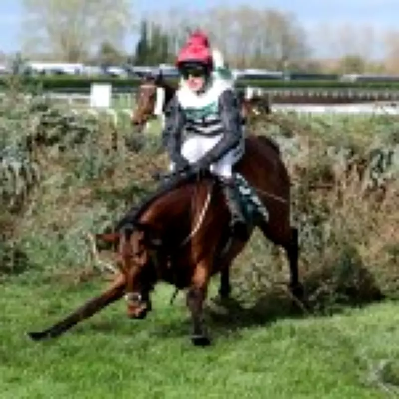 Grand National Jockey Suspended for Not Stopping Tired Horse Before Fall