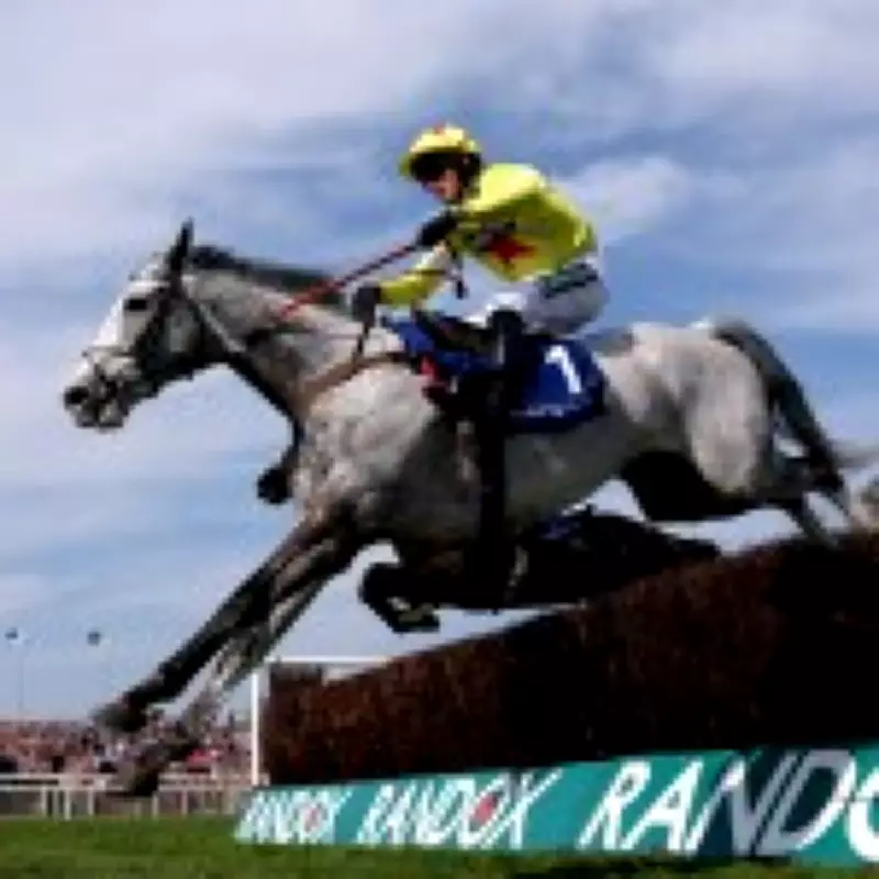 Grand National's Tragic Toll: 88 Horse Deaths Since 1839 Ahead of 2026 Race