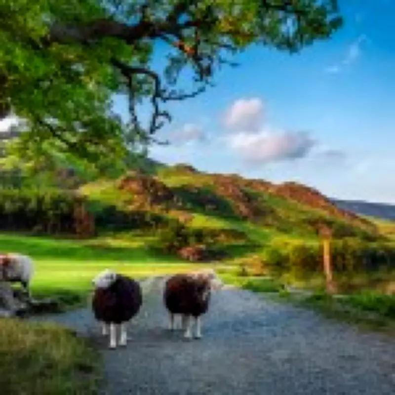 Grasmere Crowned UK's Top Staycation Spot for Summer 2026 by TripAdvisor