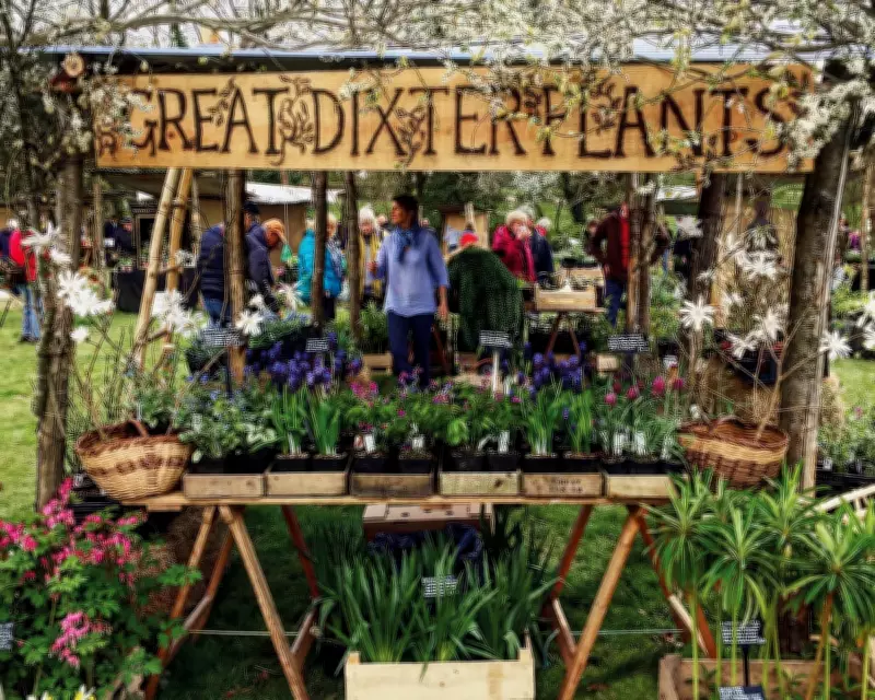 Great Dixter's Spring Plant Fair: A Gardener's Essential Shopping Event