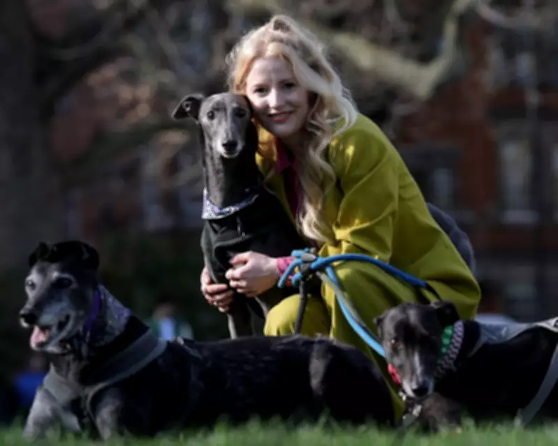 Green MP Slams Labour's 'Offensive' Class Caricature in Greyhound Racing Debate