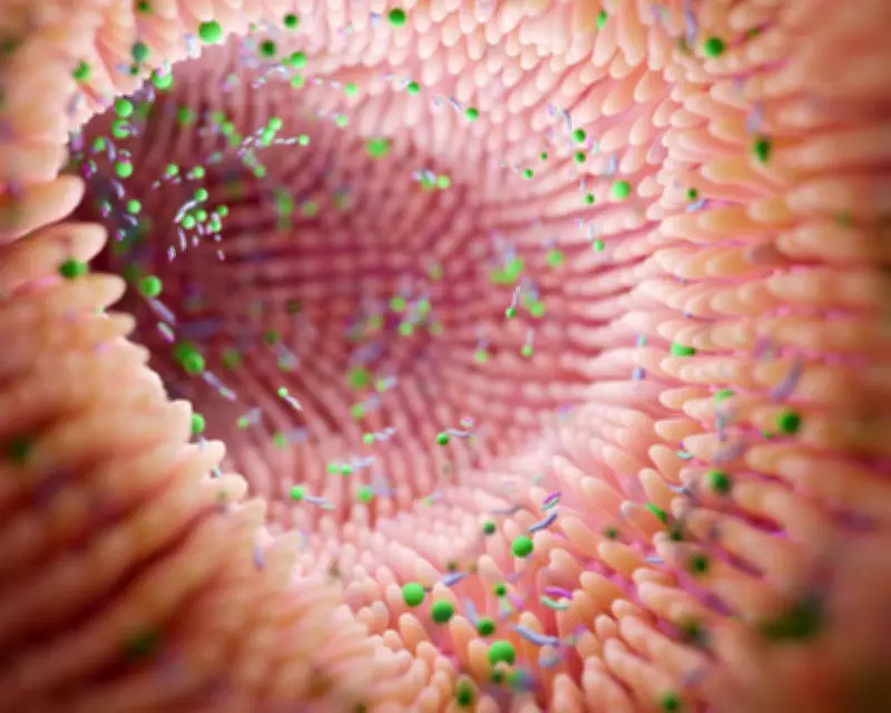Gut Microbiome Changes Could Predict Parkinson's Disease Years Before Symptoms