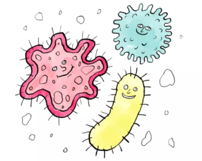 Gut Microbiome Diversity: Not the Simple Immunity Shield Once Believed