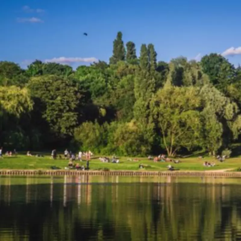 Hampstead Heath: A Rural Escape Just Minutes from Camden's Bustle