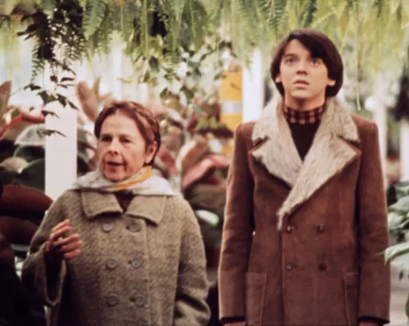 Harold and Maude: Finding Light in Darkness Through a Cult Classic