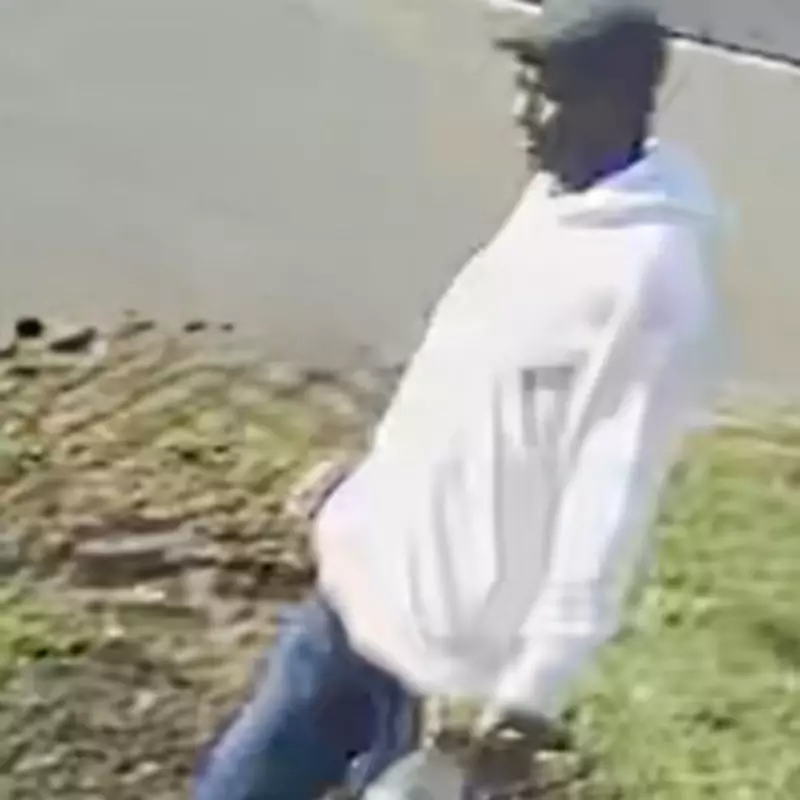 Harrow Police Seek Witness After Fatal Crash Outside School