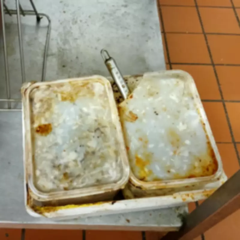 Hillingdon Takeaway Fined £14,000 for Filthy Kitchen and Fly Infestation