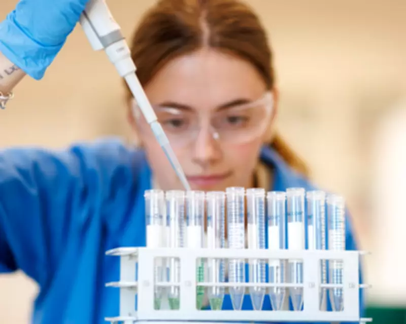 How to Fight Back Against Misinformation: Five Evidence-Based Strategies