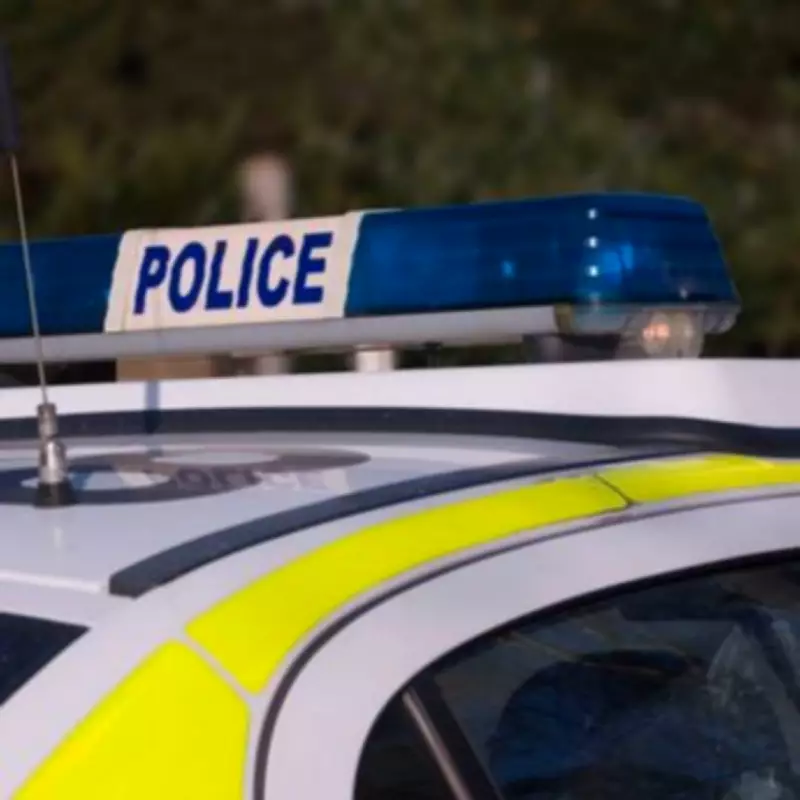 Human Skull Discovered Hanging from Tree in North London Woodland