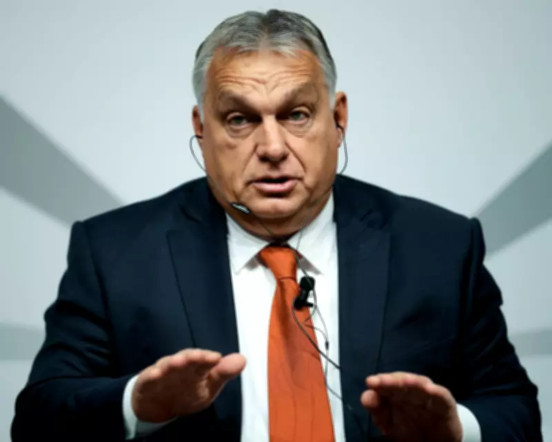 Hungary's Election: A Global Bellwether for the Far Right's Future