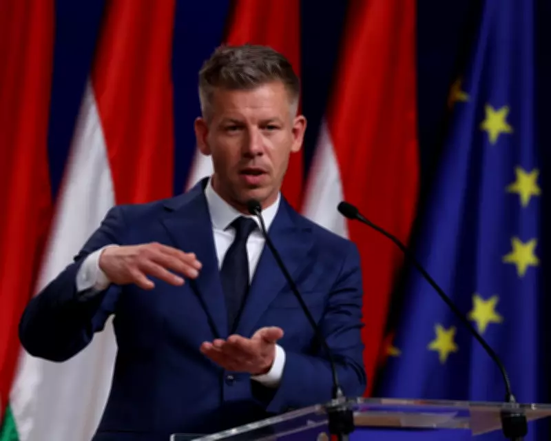 Hungary's New PM Seeks Polish Aid to Mend EU Ties After Orbán Era