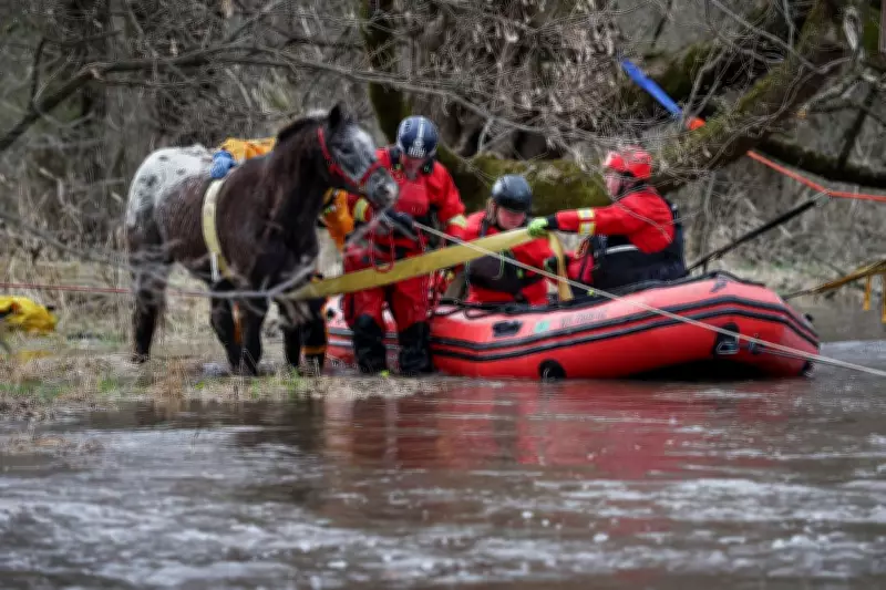 Illinois Horse Rescued After 8-Hour Ordeal in Fast-Moving Flood Waters