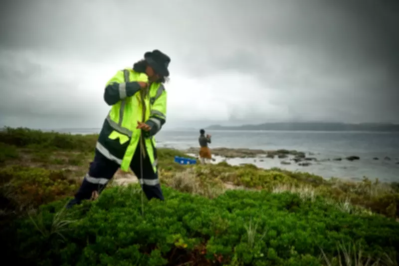 Indigenous Groups in Australia and Alaska Track Short-Tailed Shearwater Migration