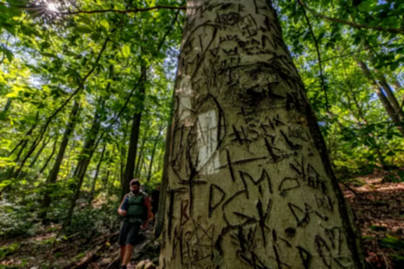 Indigenous Writer's Appalachian Trail Journey Exposes Ego in Hiking Culture