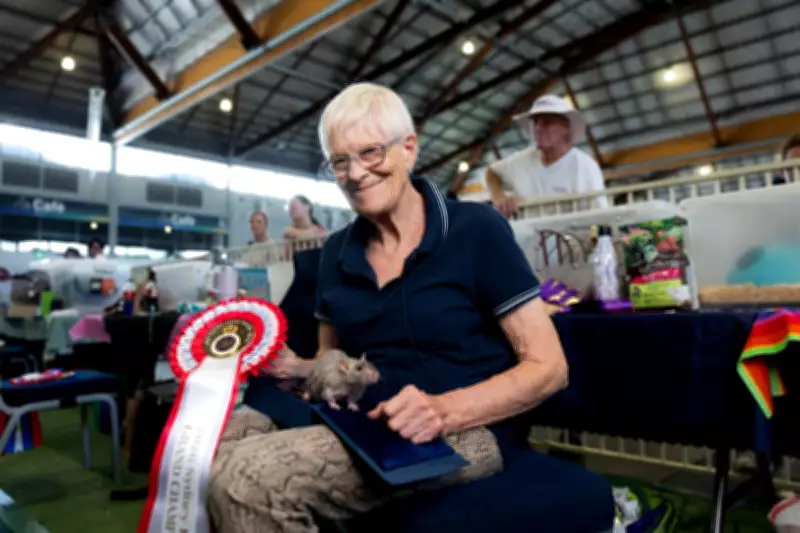 Inside Sydney's Royal Easter Show Rodent Judging: Winners Decided by a Whisker