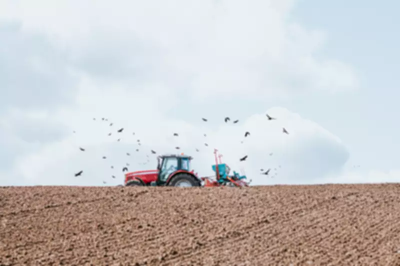 Iran War's Economic Blows Cripple UK Farmers as Fuel and Fertilizer Costs Soar