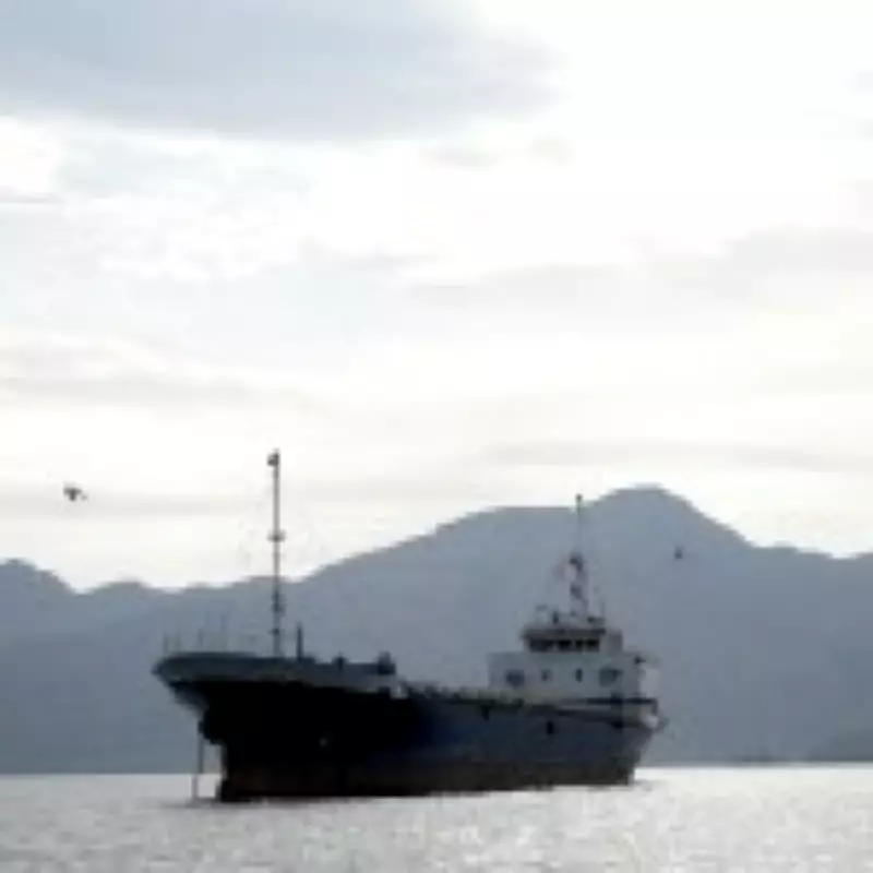 Iranian Vessels Navigate Trump's Strait of Hormuz Blockade Amid Tensions