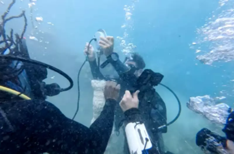 Jamaica's Coral Reefs Show Remarkable Recovery After Conservation Efforts
