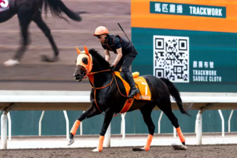 Jantar Mantar Aims for FWD Champions Mile Glory in Hong Kong