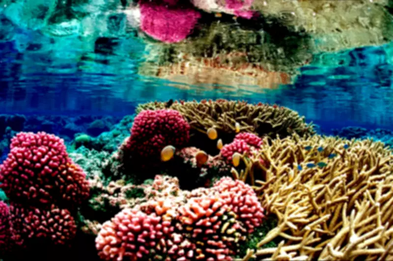 Jason Momoa Urges Global Action as Coral Reefs Face Extinction Crisis