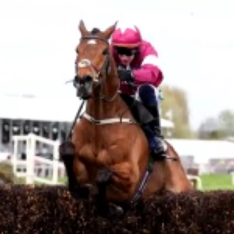 Jockey Explains Why Gold Dancer Was Not Pulled Up After Fatal Injury