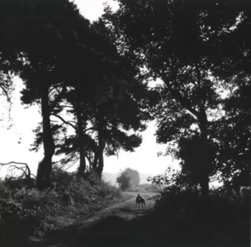 Johnnie Shand Kydd: From YBAs to Dog Walks in Suffolk