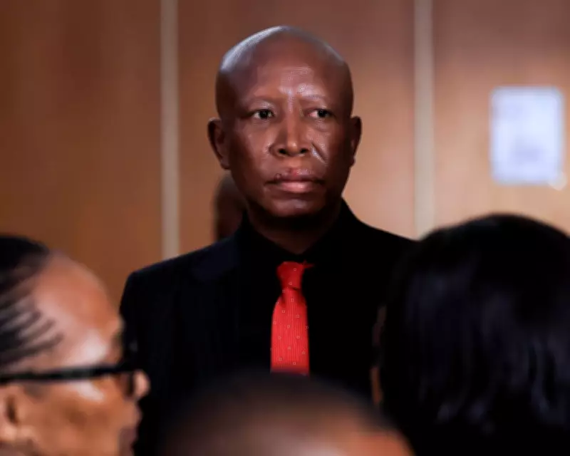 Julius Malema Sentenced to Five Years in Prison for Gun Offense