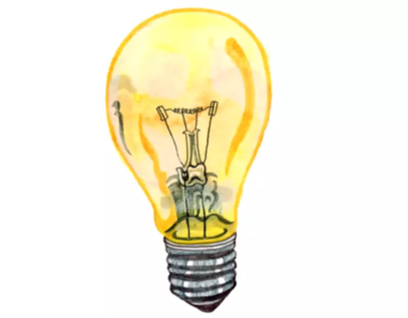 Kids' Quiz: Why Lightbulbs Heat Up and How Many Pandas Exist?