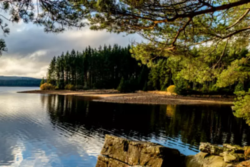 Kielder Forest: Northumberland's Dark Sky Sanctuary