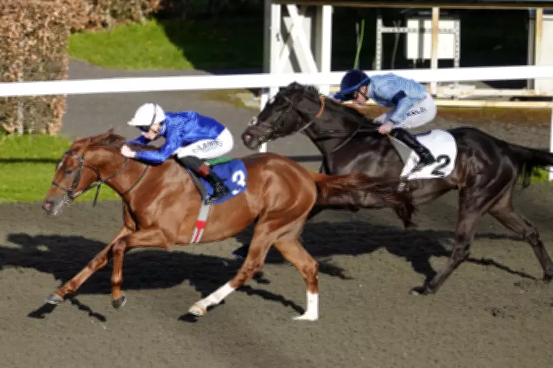 King's Trail and Rumstar Highlight Newmarket Guineas Day Tips