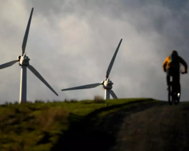 Labour's Wind Farm Plans Threaten Wales' Cambrian Mountains Wilderness
