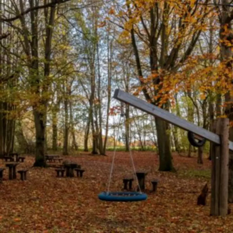 Langdon Hills Country Park: Award-Winning Essex Escape with Panoramic London Views