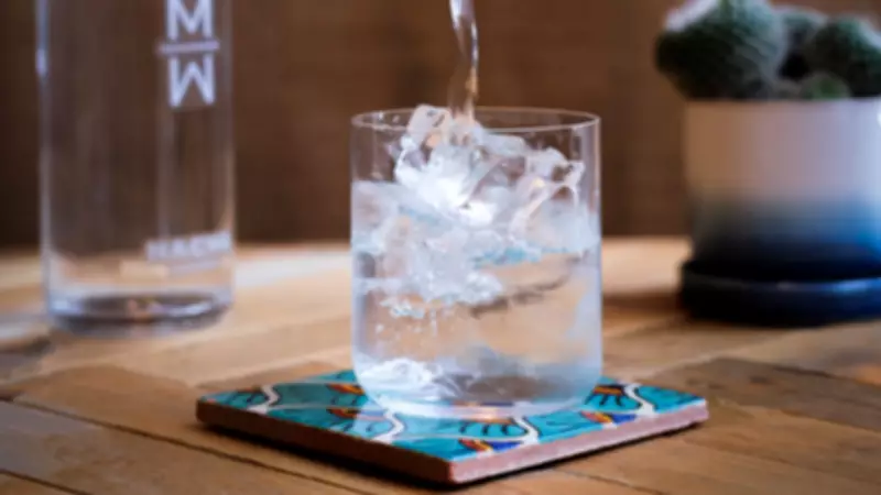 Legendary Dalston Agave Bar Hacha to Close, Seeks Larger Venue