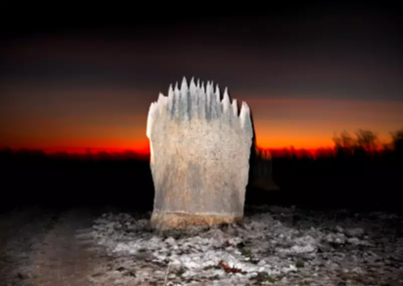 Liss Fenwick's 'The Colony': Termites Rewrite Colonial Narratives in Art