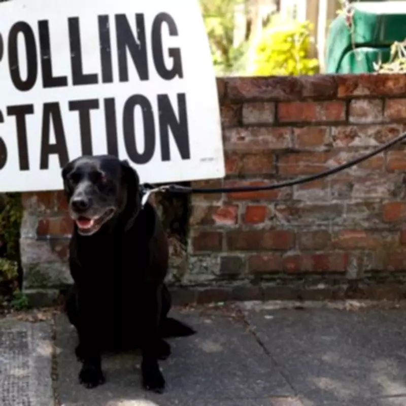 Local Elections 2025: London Voter Guide and What to Expect