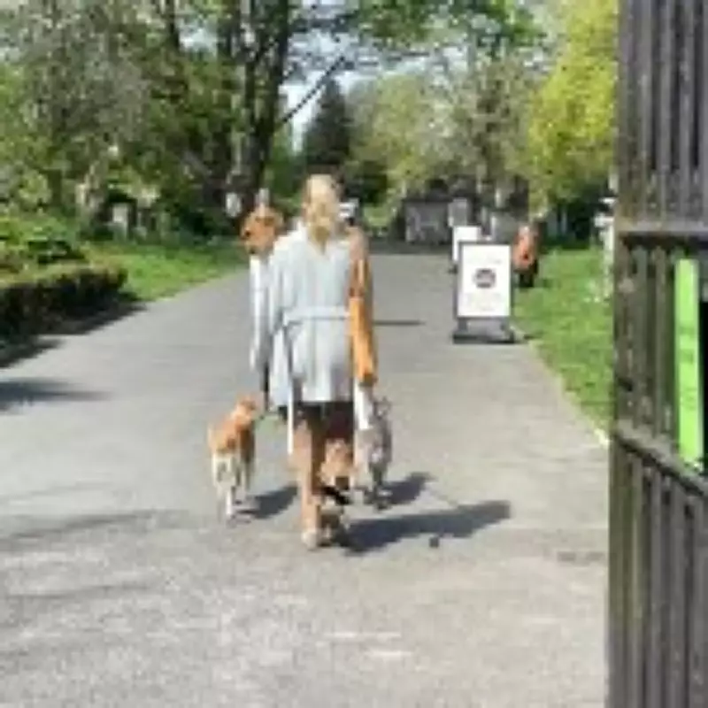 London Park Poisoning: Police Hunt Culprit After Tainted Meat Sickens Dog, Kills Foxes