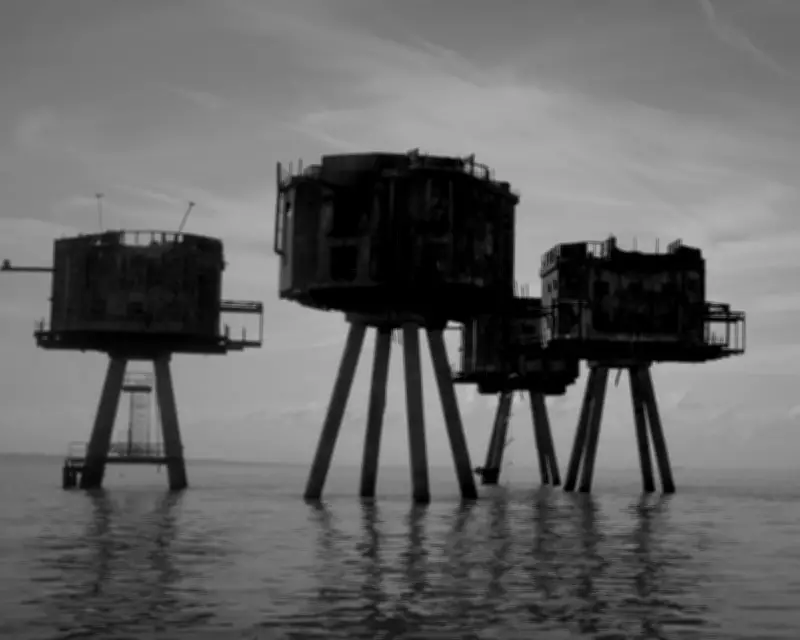 London's Last Wilderness: A Mad Max Journey Through Thames Estuary