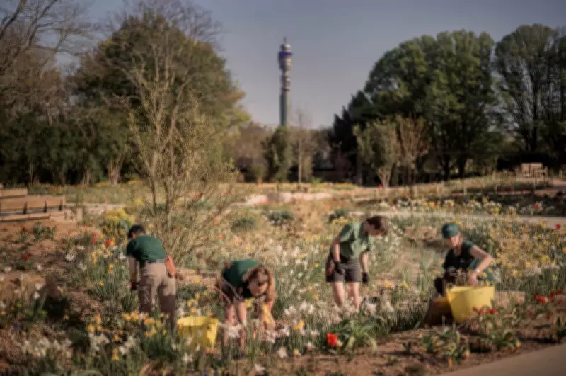 London's Queen Elizabeth Garden: A Biodiverse Oasis in Regent's Park
