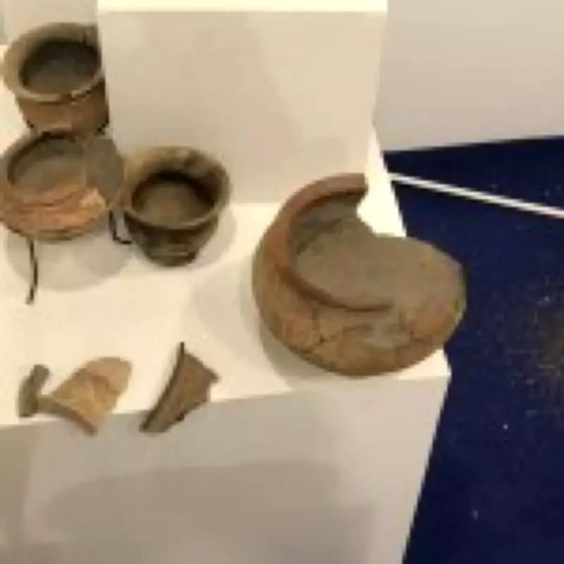 Loud Parade Music Shatters Ancient Artifacts in Thai Museum