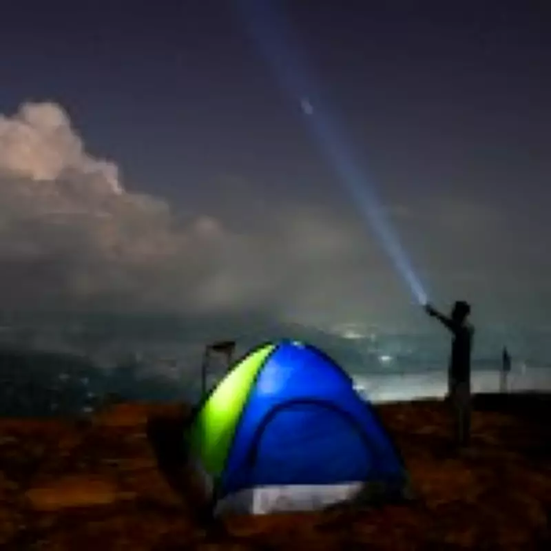 Lyrid Meteor Shower 2026: Peak Viewing Times and UK Visibility Guide