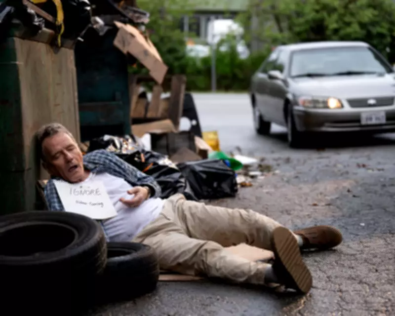 Malcolm in the Middle Revival Stuns with Miraculous Return and Cranston's Peak Performance
