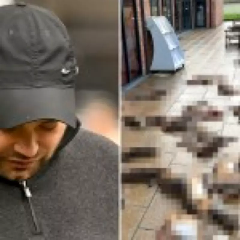 Man Accused of Dumping 50 Dead Hares, Smearing Blood on Village Shop